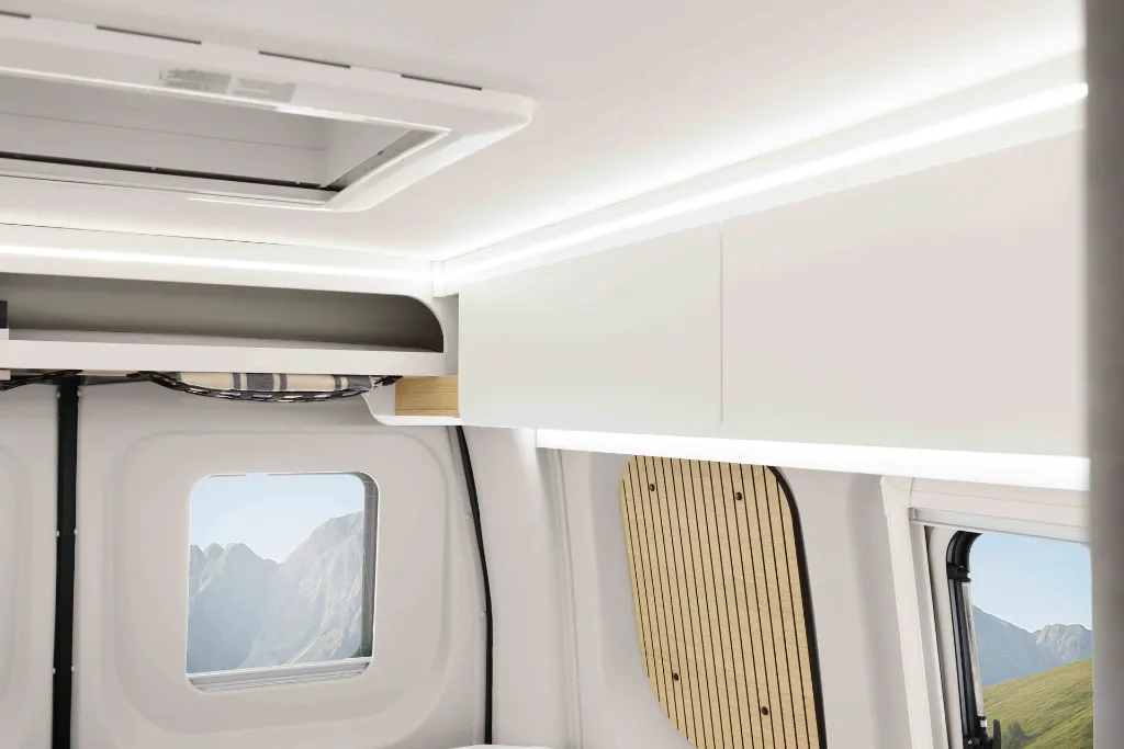 Ahorn_V_630_MG_3870 Kopie.webp