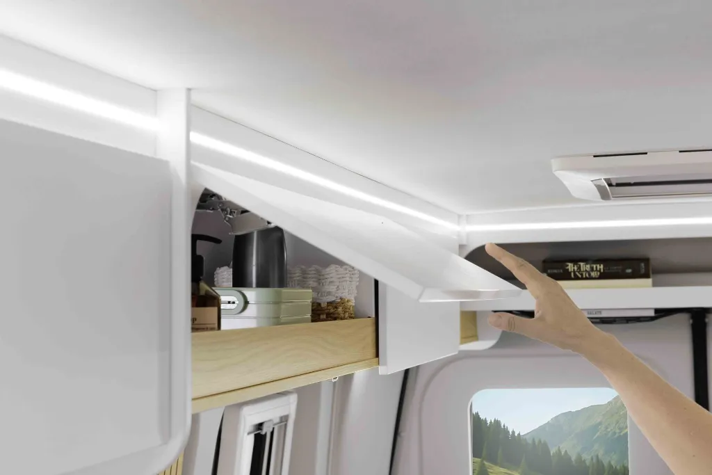 Ahorn_V_630_MG_3861 Kopie.webp