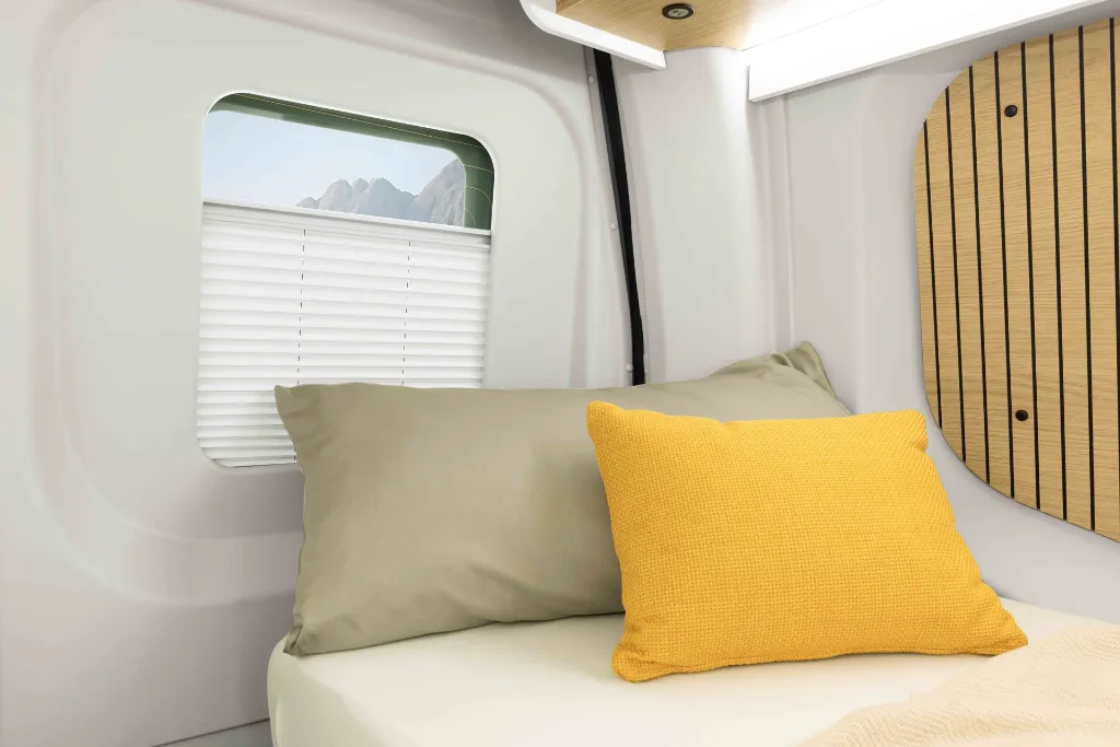 Ahorn_V_630_MG_3843 Kopie.webp