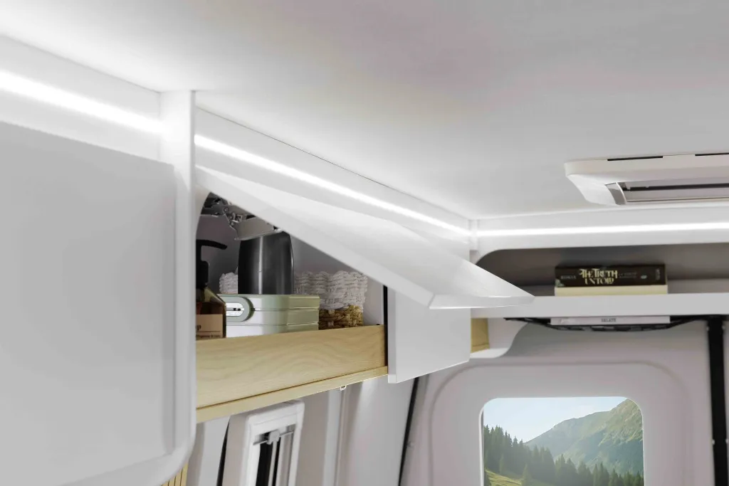 Ahorn_V_630_MG_3858 Kopie.webp